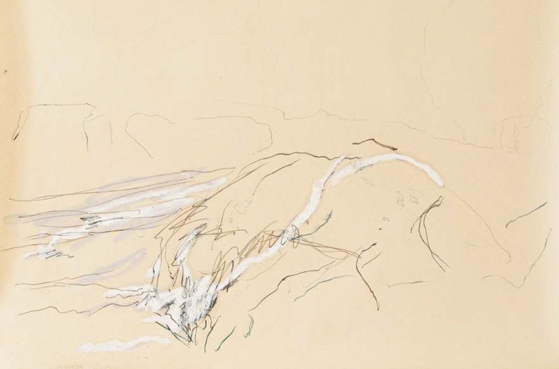 Amin Shojaie, Untitled, 2019