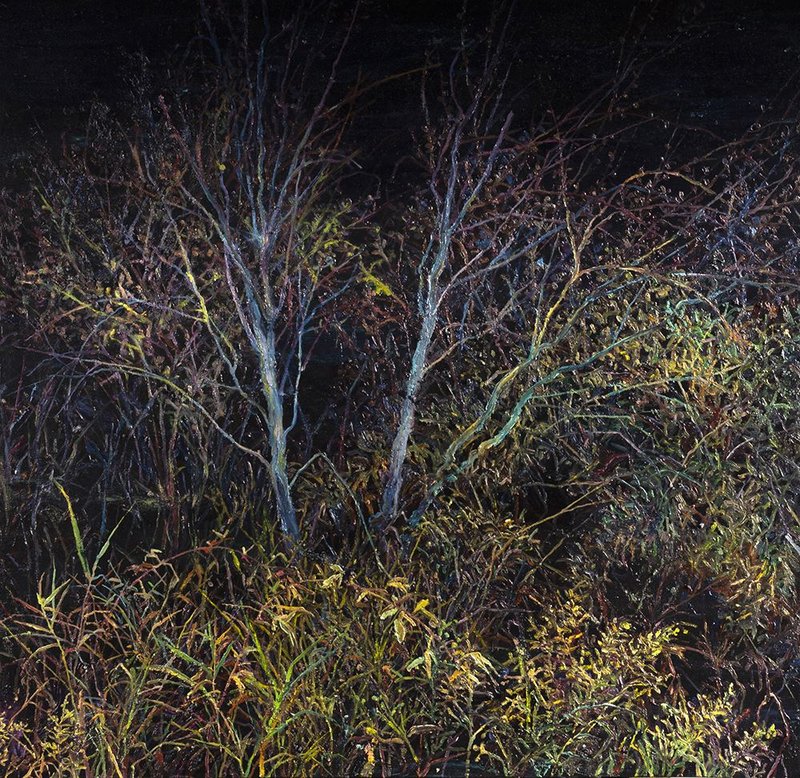 Saeed Khaleghi, Untitled, 2020
