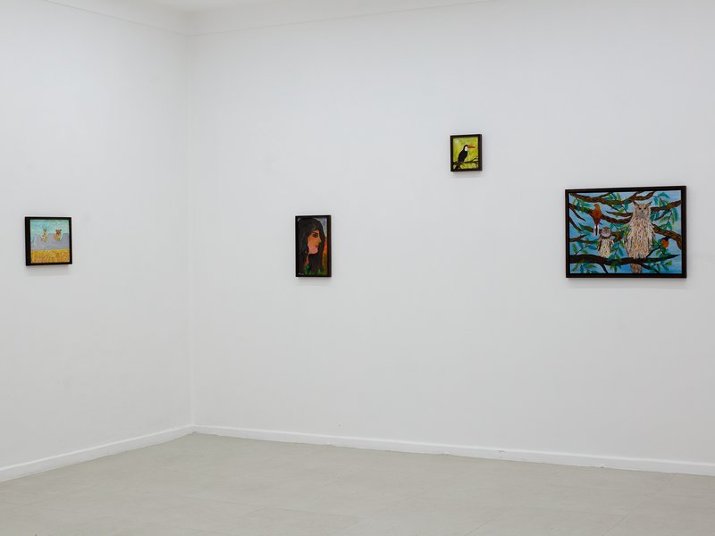 Crawling Jungle, installation view