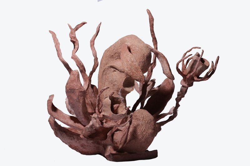 Elaheh Motamedi Moghaddam, Untitled, 0