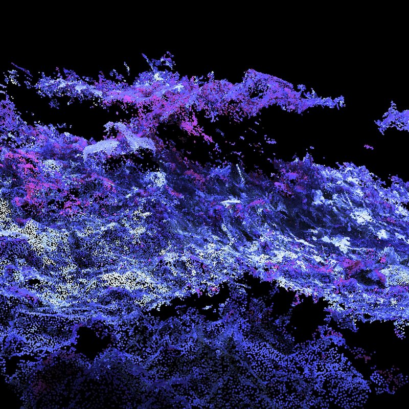 Ali Phi, Agnosia-4, 2021