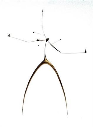 Behrouz Daresh, Praise of a Hero, 2005