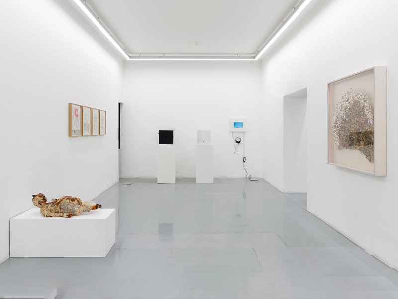 Internal Structure of The Heart, installation view