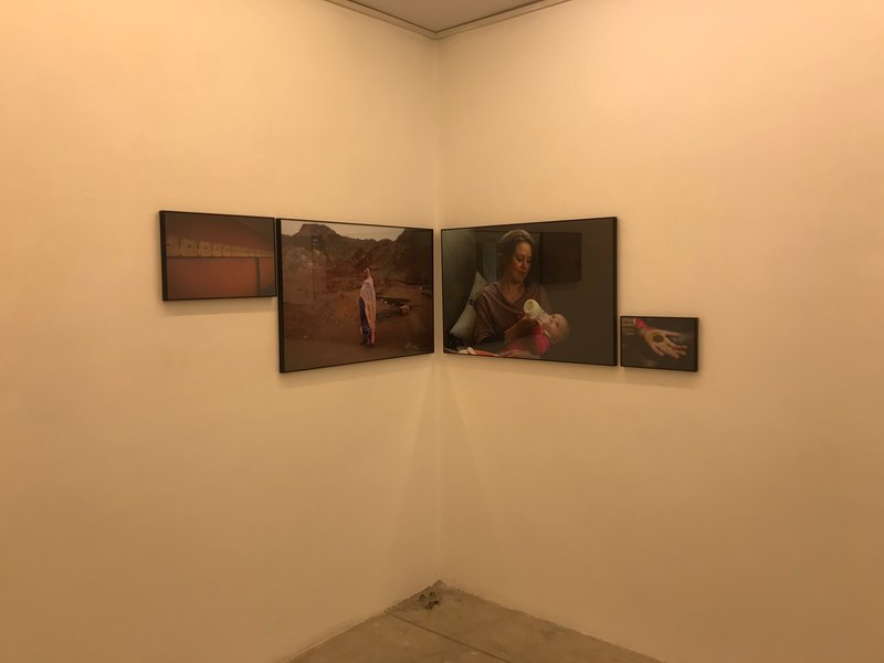 Cold Soil Red Soil, installation view