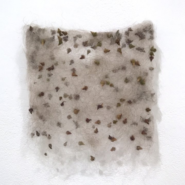 Christiane Lohr, Burr Felt, 2022
