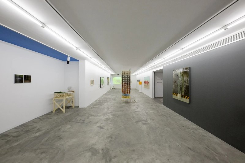 Nature of Things, installation view