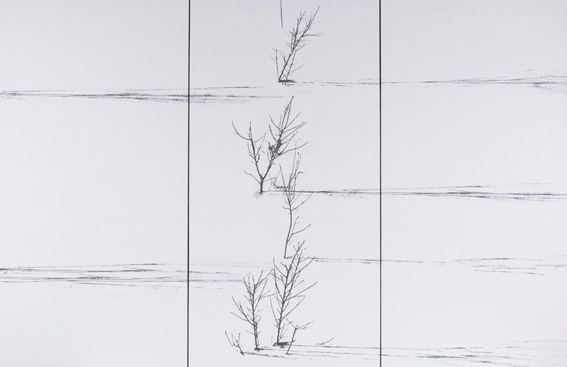 Abbas Kiarostami, Untitled, 2010