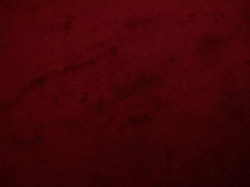 Shahryar Tavakoli, Untitled, 0
