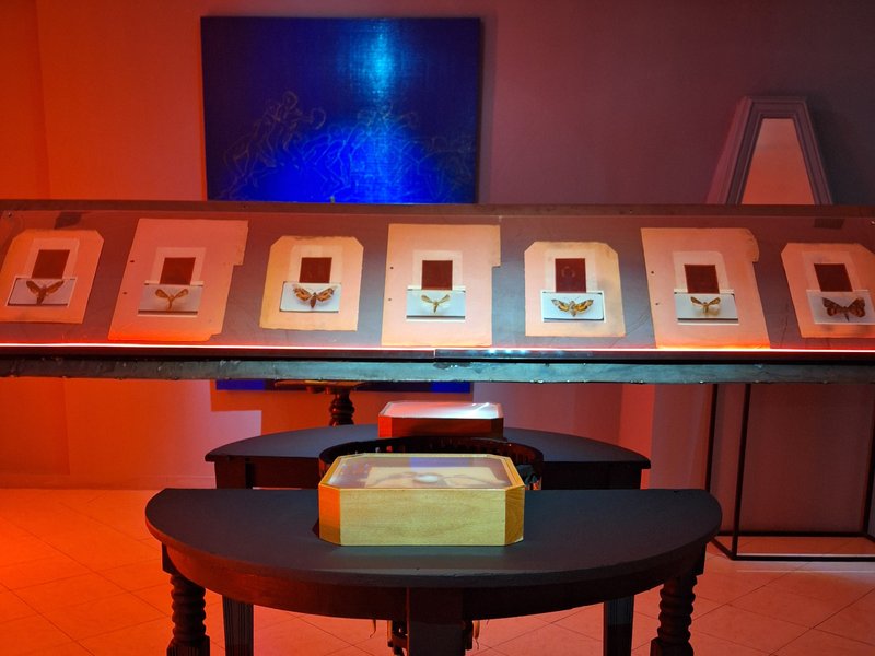 Revelation in the Darkroom, Installation view.