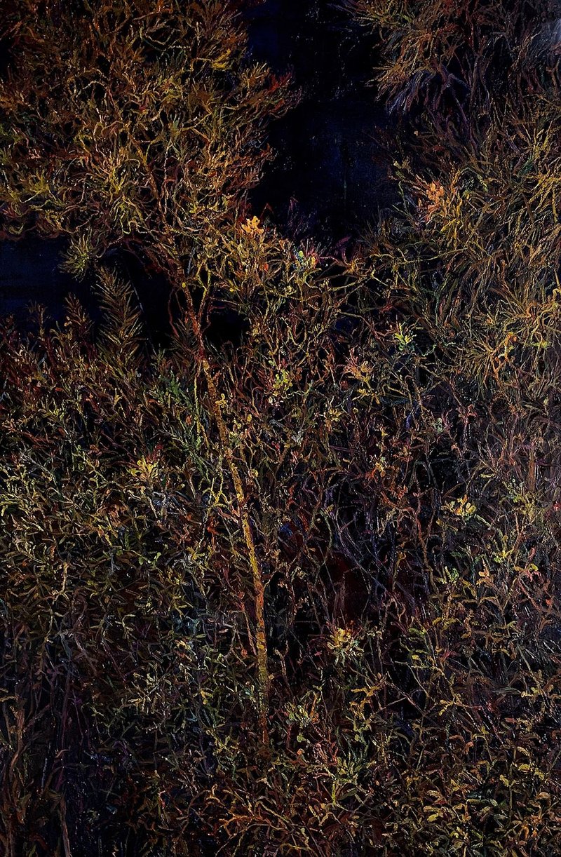 Saeed Khaleghi, Untitled, 2020