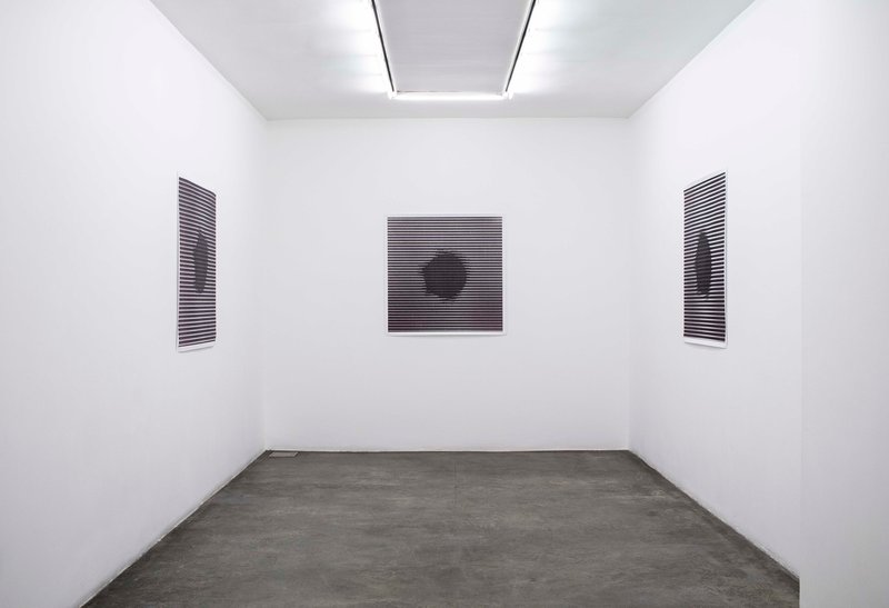 Soft Matter, installation view