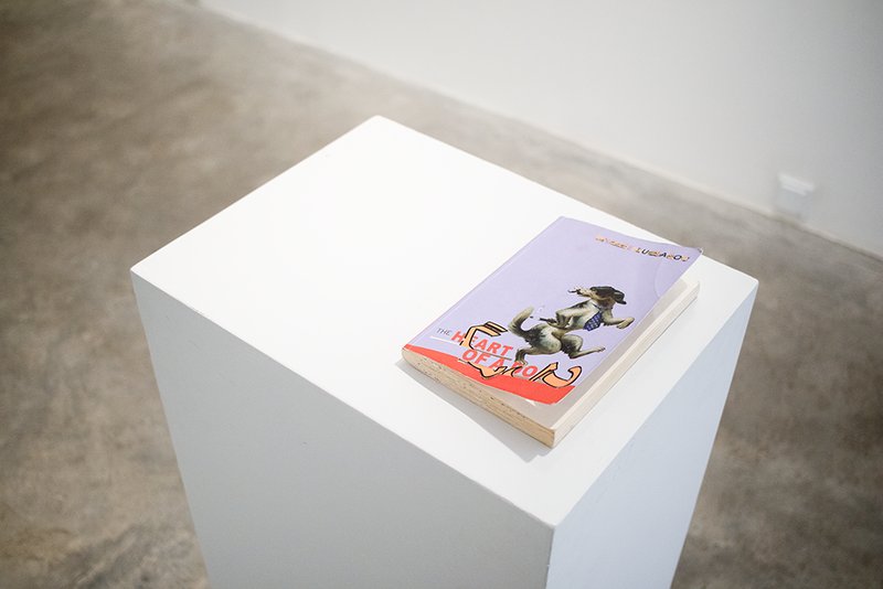 The Metamorphosis, installation view