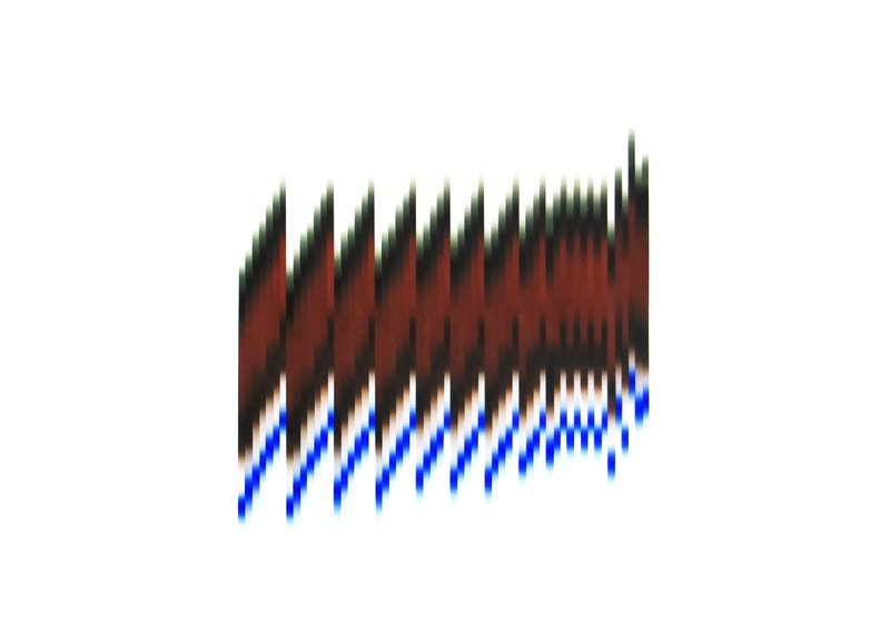 Niusha Baraei, Untitled, 0
