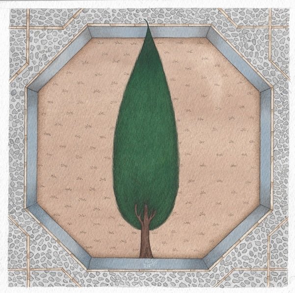 Maryam Baniasadi, Cypress Tree I, 2019