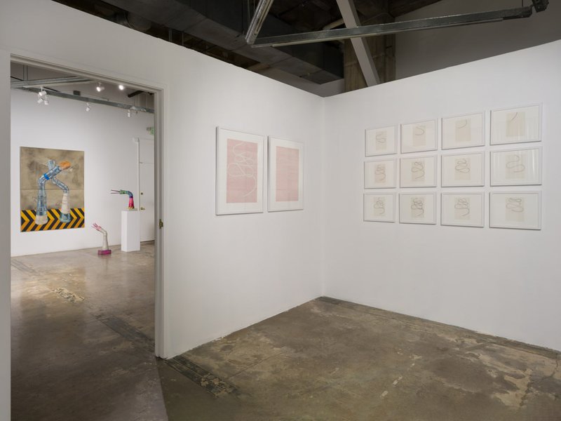 Extensions of A Collapsing Landscape, Intubated Futures, installation view