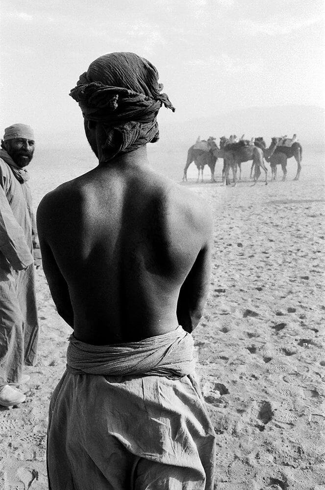 Alireza Memariani, Extras, 2010