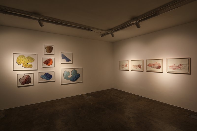 Haft Paykar, installation view