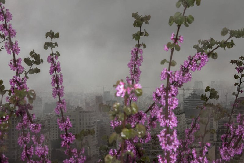 رسا هزارخانی، بدون عنوان، 1397