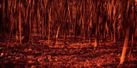 امیرحسین بی پروا، بدون عنوان، 1394