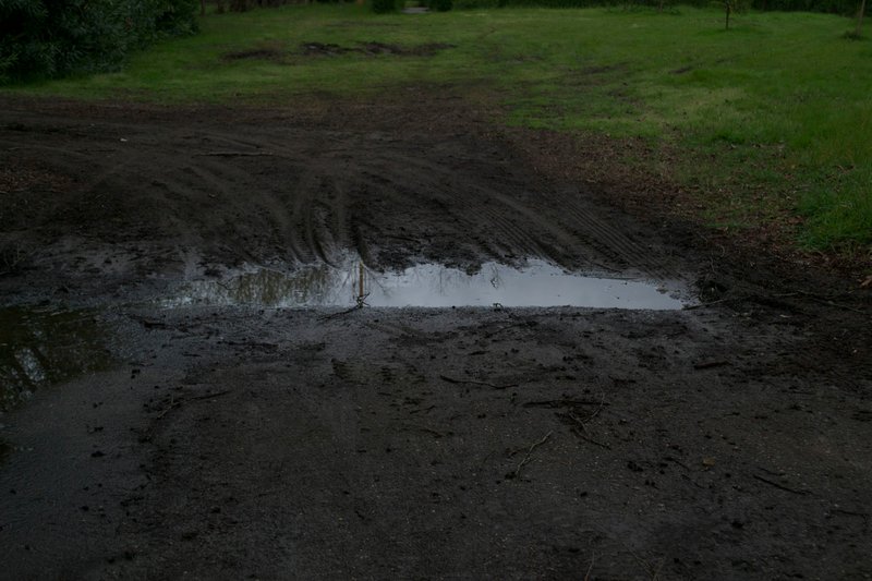 Aisa Rashid, Untitled, 2021