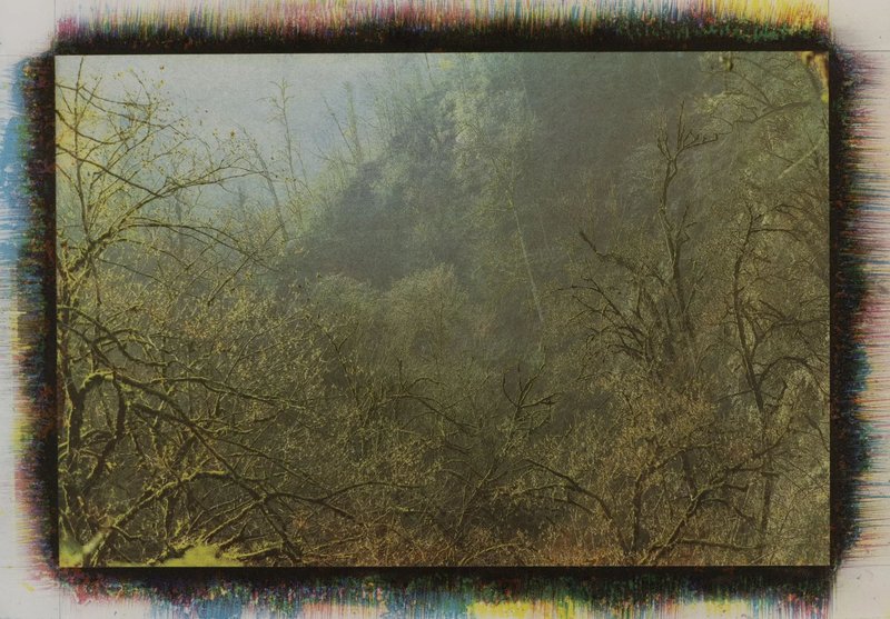 Mehrali Razaghmanesh, Untitled, 2020
