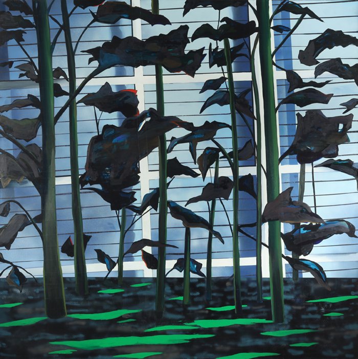 Sam Nejati, Sanctum, 2018