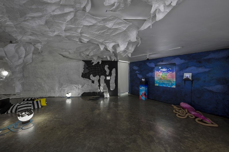 Tales of Interdisciplinia: The Curious Case of a Very Long Tail, installation view
