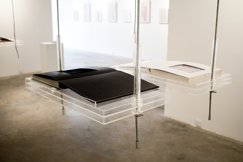 The Metamorphosis, installation view