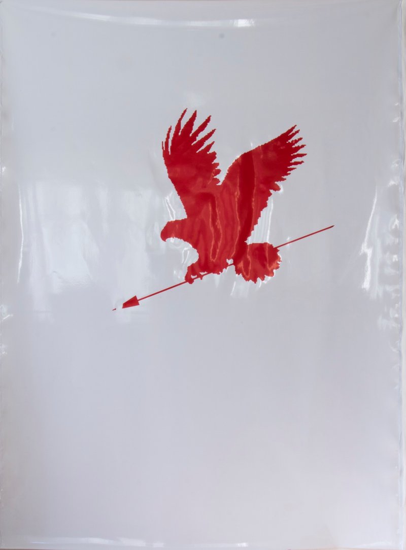 Maryam Mimi Amini, Eagle, 2018