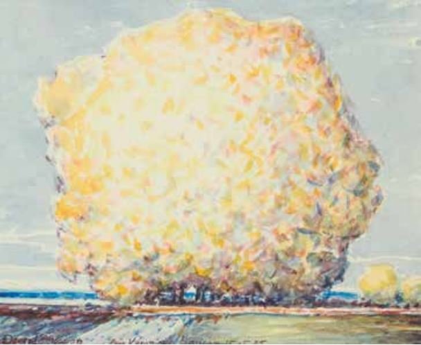 Davood Emdadian, Paysages, 1985