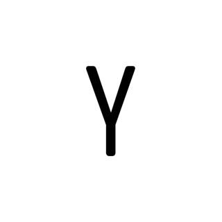 بنیاد یاسی