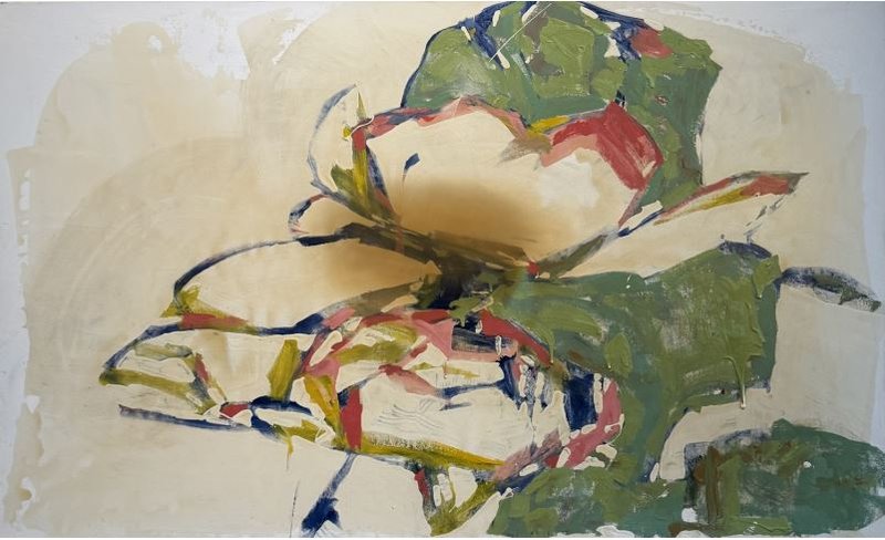 Leily Derakhshani, Untitled, 2026