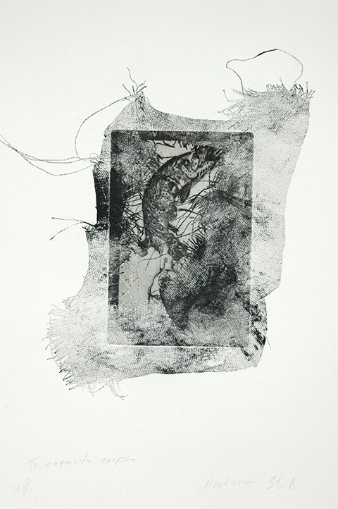 Nastaran Shahbazi, The Exquisite Corpse, 2013