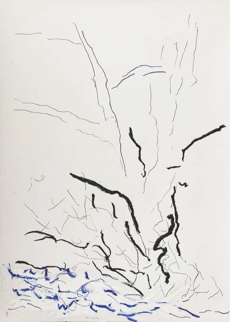 Amin Shojaie, Untitled, 2019