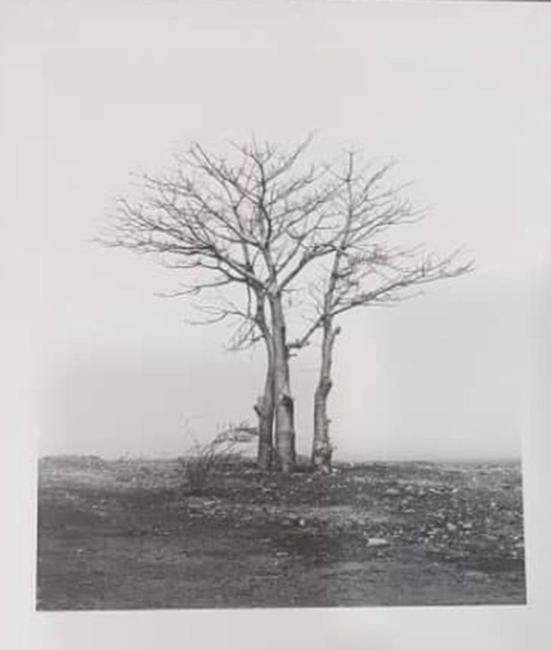 Bahman Jalali, Untitled, 0