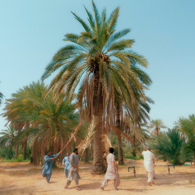 بیینال لاهور ۰۳: کوهها و دریاها
