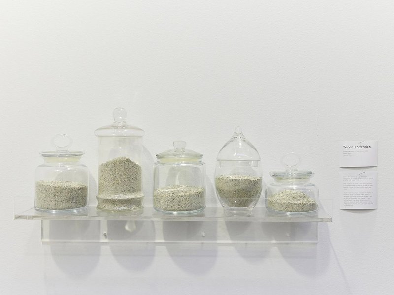 Installation view.