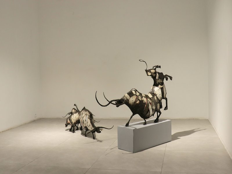 گاو دردی، نمای چیدمان