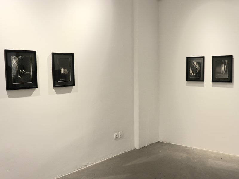 Between Shadows and Light, installation view