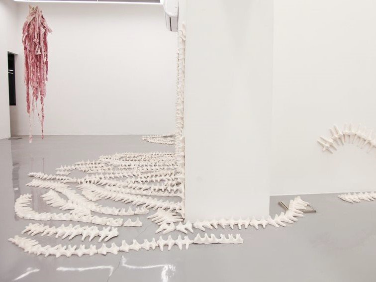 On The Snail’s Circuit, installation view