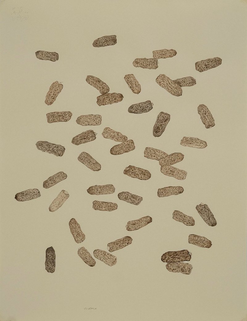 Afsaneh Moradi, Untitled, 2022