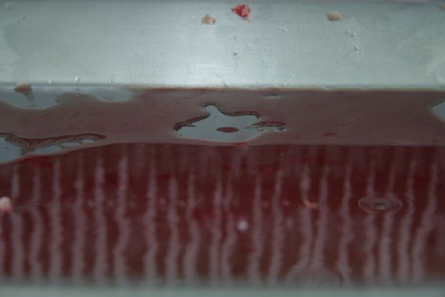 Azadeh Mirzaee, Untitled, 2008