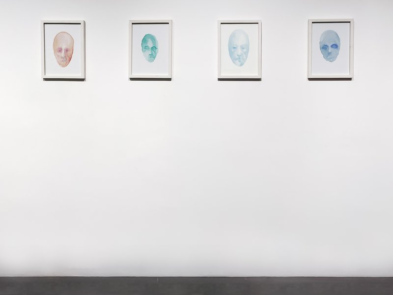 Psychozoa, installation view