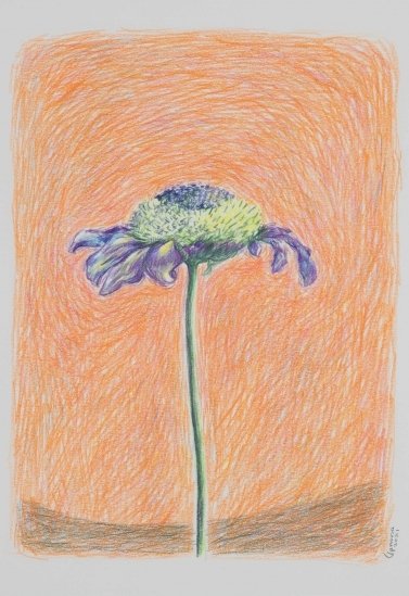 Mousa Rabbani, Untitled, 0