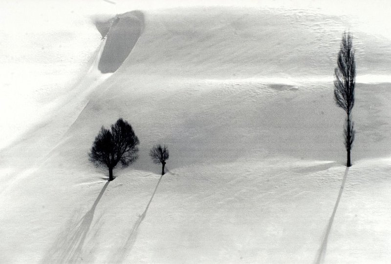 Abbas Kiarostami, Untitled, 1999