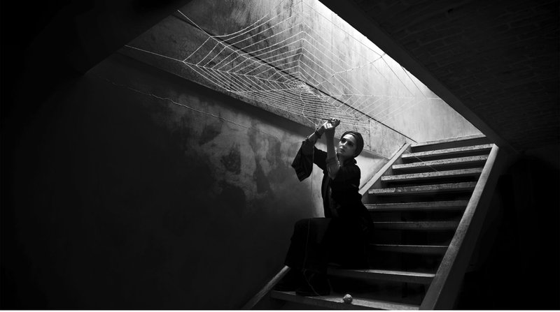 An Analysis of Shadi Ghadirian's Works