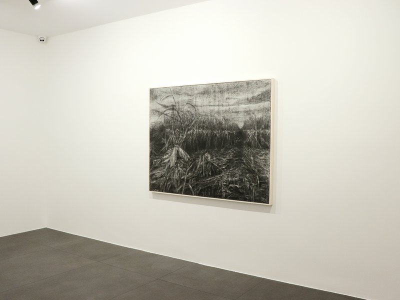 The Place that I Was, installation view