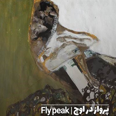پرواز در اوج