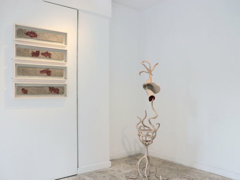 Maturation, installation view