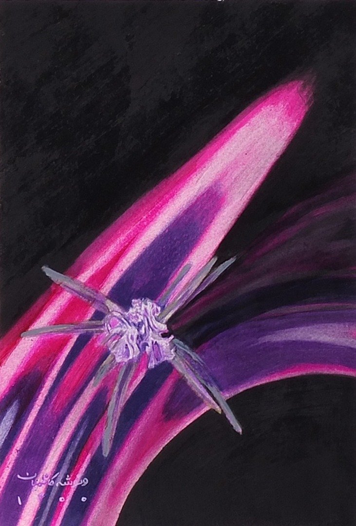 Vanoosheh Kazemian, Rosemary No.6, 2021
